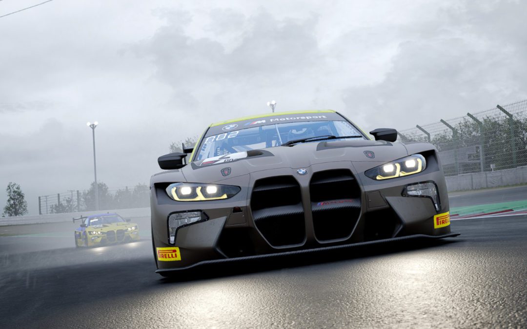 The Art of Racing in the Rain